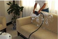 Giặt sofa tại nhà với máy hút bụi