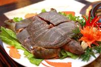 Các món ngon chế biến từ ba ba