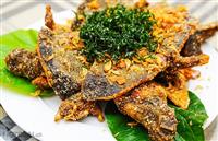 Hướng dẫn cách làm thịt ba ba và những món ngon từ ba ba