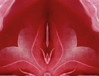 Hướng dẫn cách làm hồng cô bé