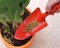 Các loại phân bón phù hợp cho cây xanh trong nhà 