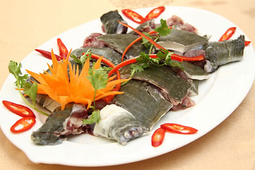 Giá trị dinh dưỡng từ thịt ba ba