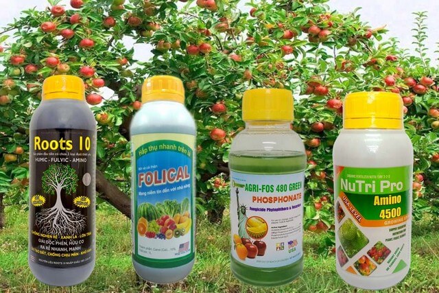 Các loại phân bón lá