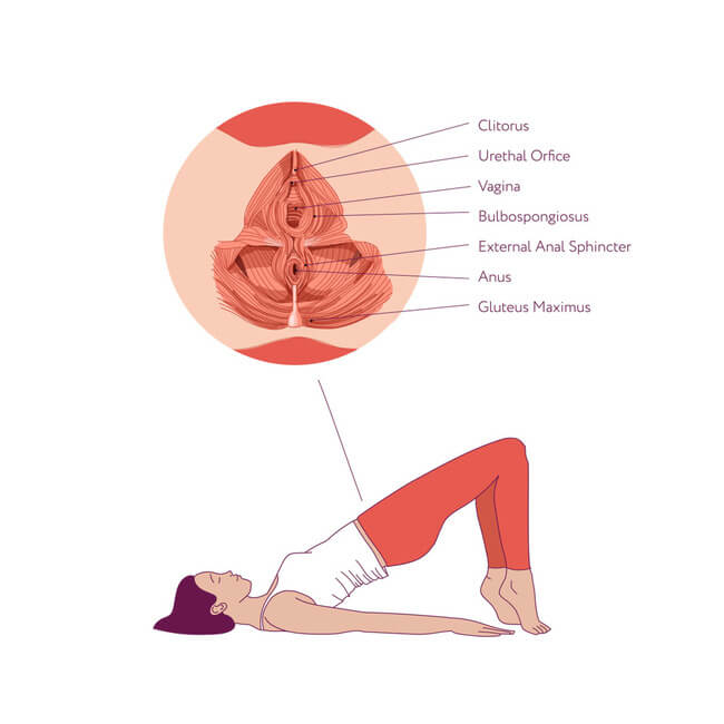 Hướng dẫn cách làm hồng cô bé Hướng dẫn cách làm hồng cô bé