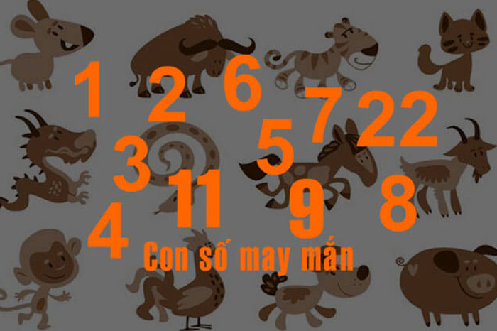 Con số may mắn