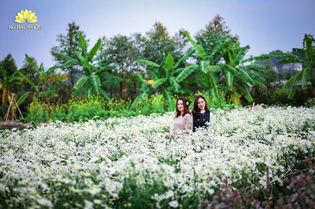 Nhà hàng sinh thái Bắc Ninh