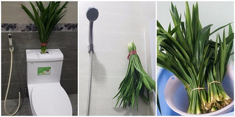 khử mùi hôi nhà vệ sinh