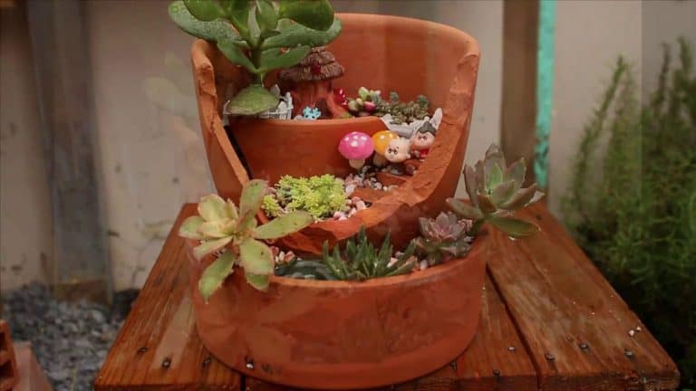 tiểu cảnh mini để bàn